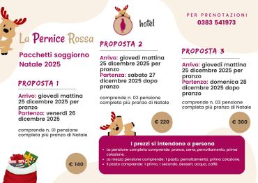 pacchetti-natale-25-pernice
